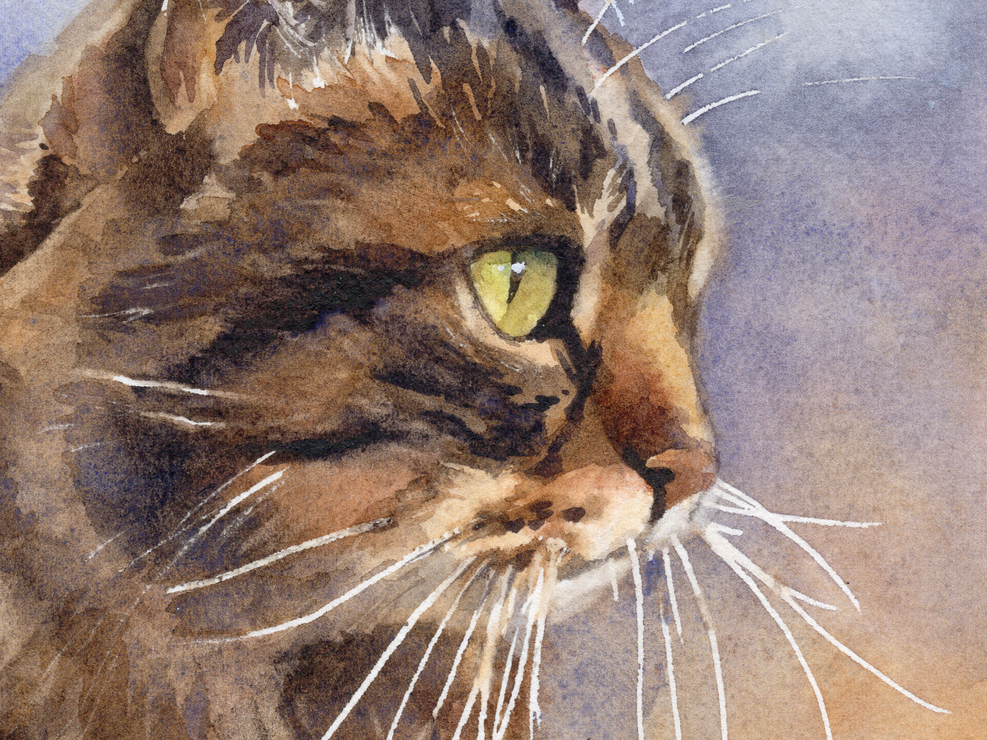 Cat painting